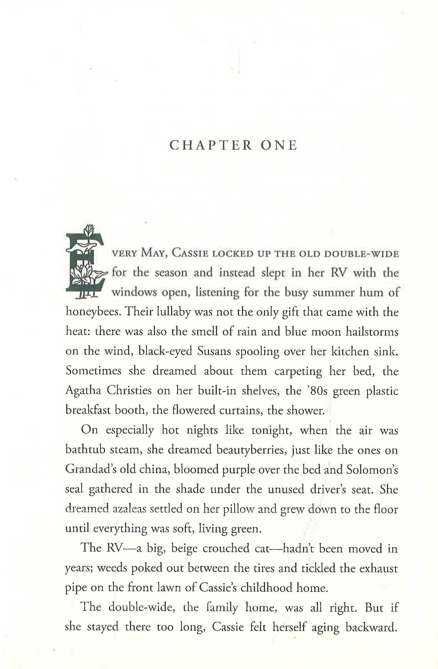 Cicadas Sing Of Summer Graves by Quinn Connor – book cover