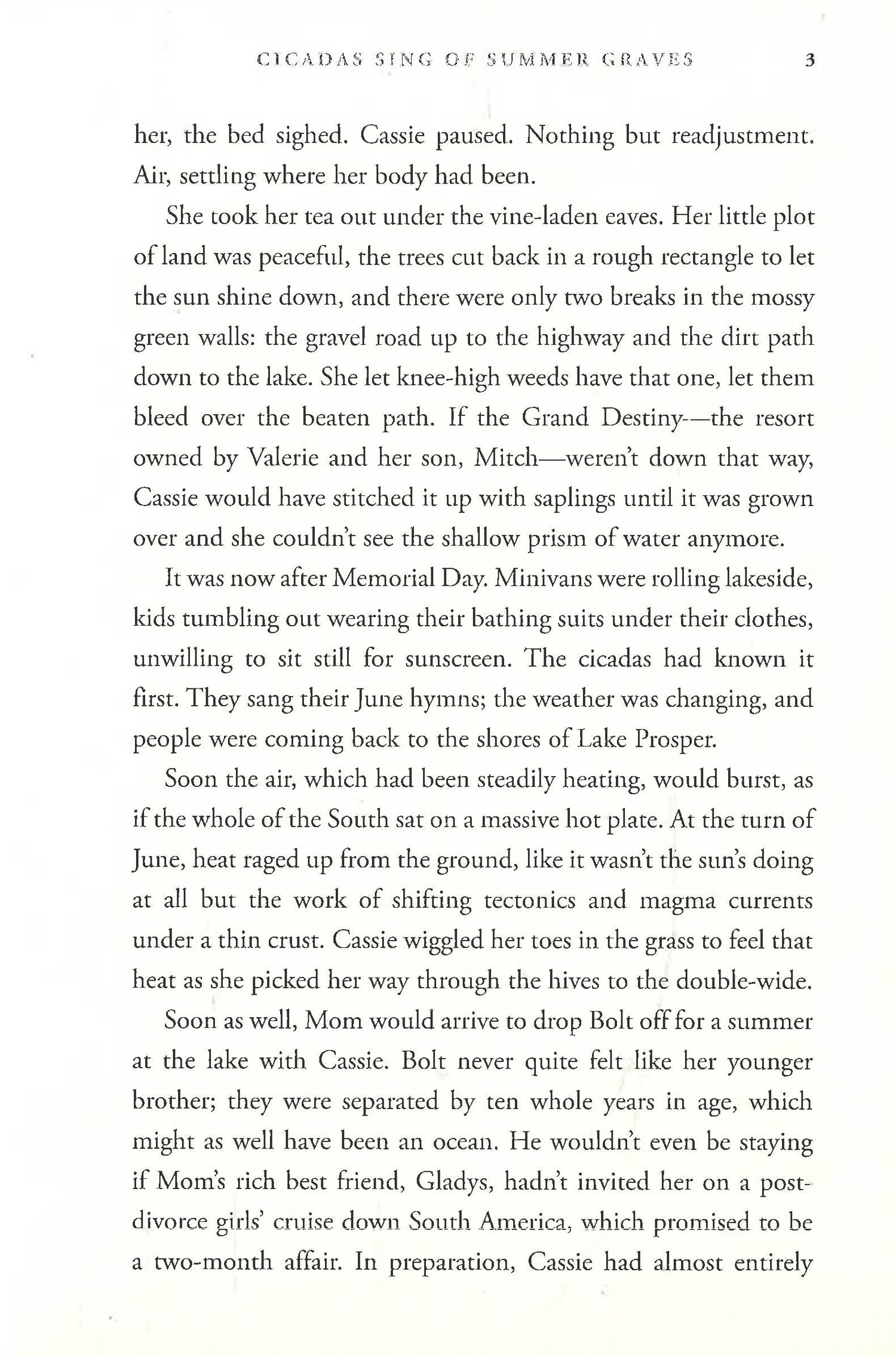 Cicadas Sing Of Summer Graves by Quinn Connor – book cover
