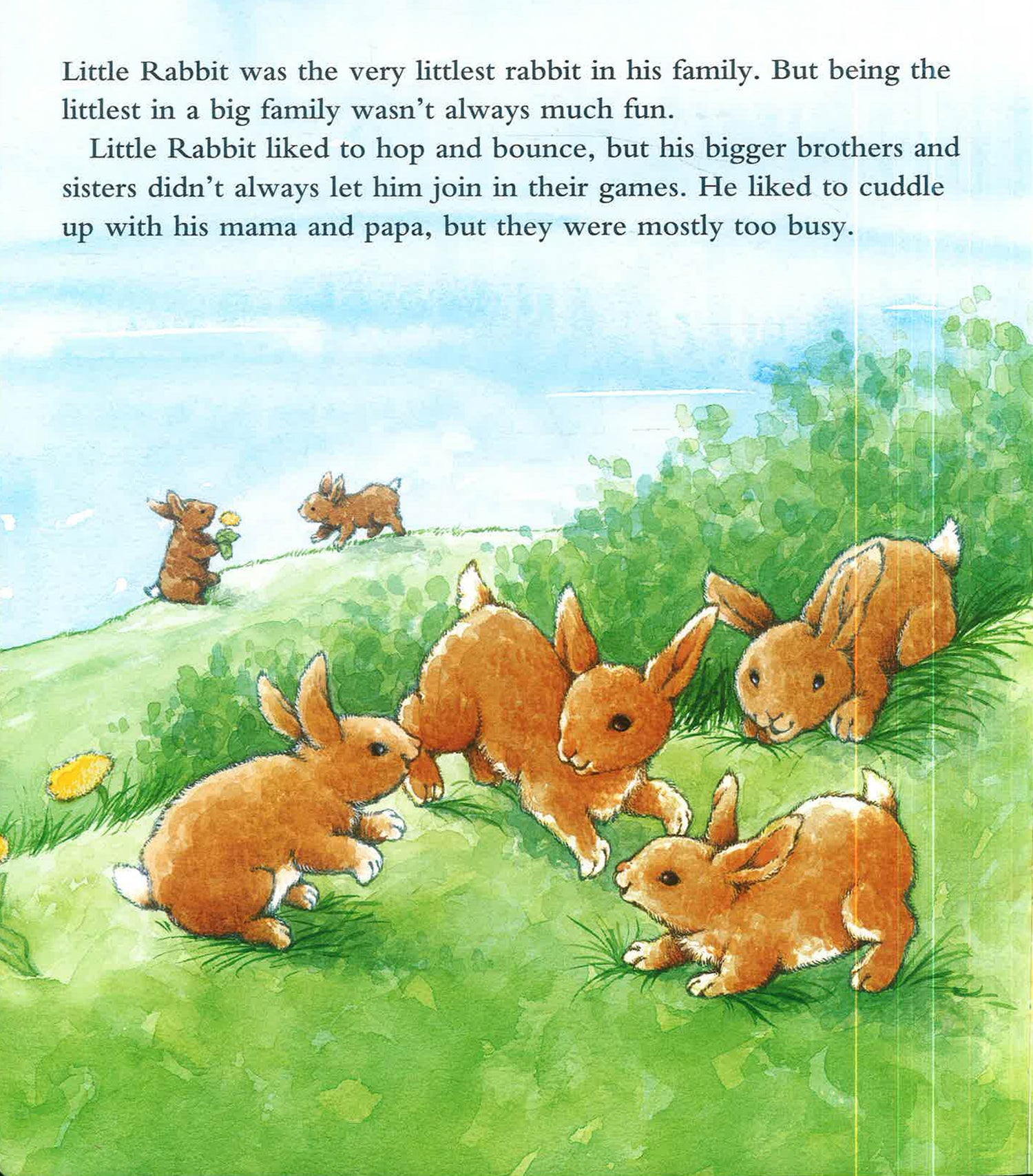 Little Rabit by Piers Harper – book cover
