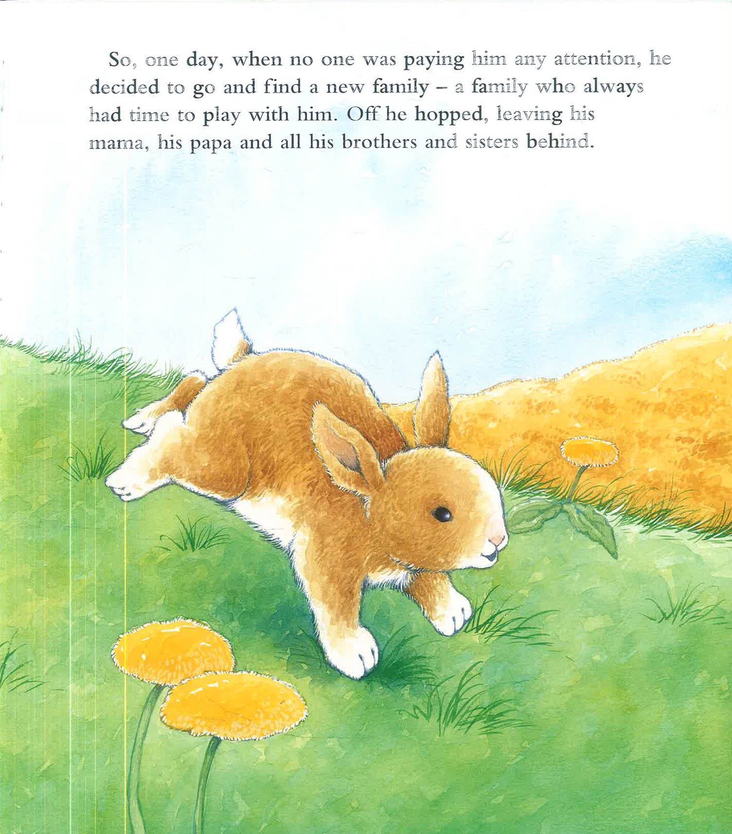 Little Rabit by Piers Harper – book cover