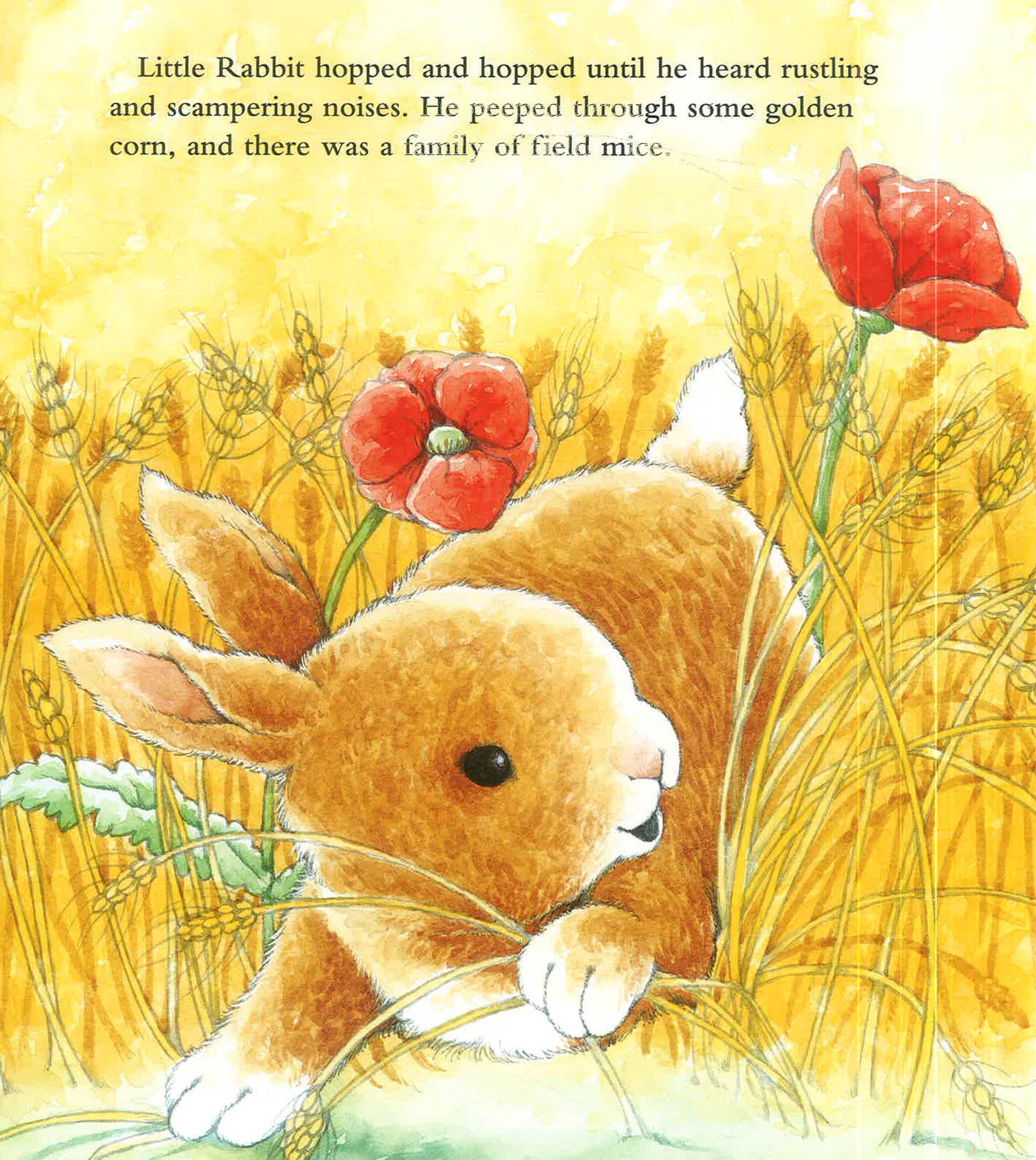 Little Rabit by Piers Harper – book cover