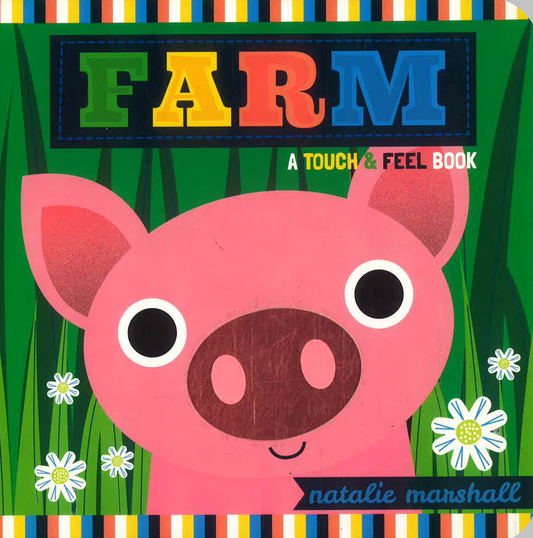 Farm, A Touch & Feel Book