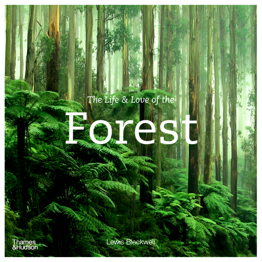 The Life & Love Of The Forest