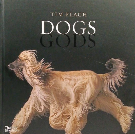 Dogs Gods