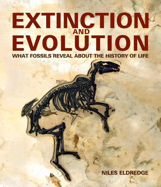 Extinction and Evolution: What Fossils Reveal about the History of Life