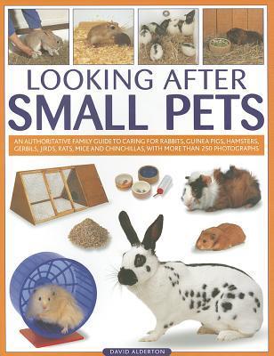 Looking After Small Pets