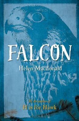 Falcon (New Ed)