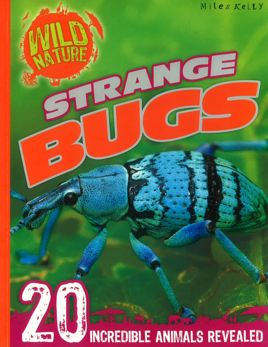 Wild Nature: Strange Bugs