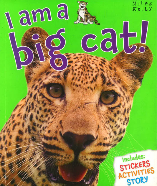 I am a Big Cat!
