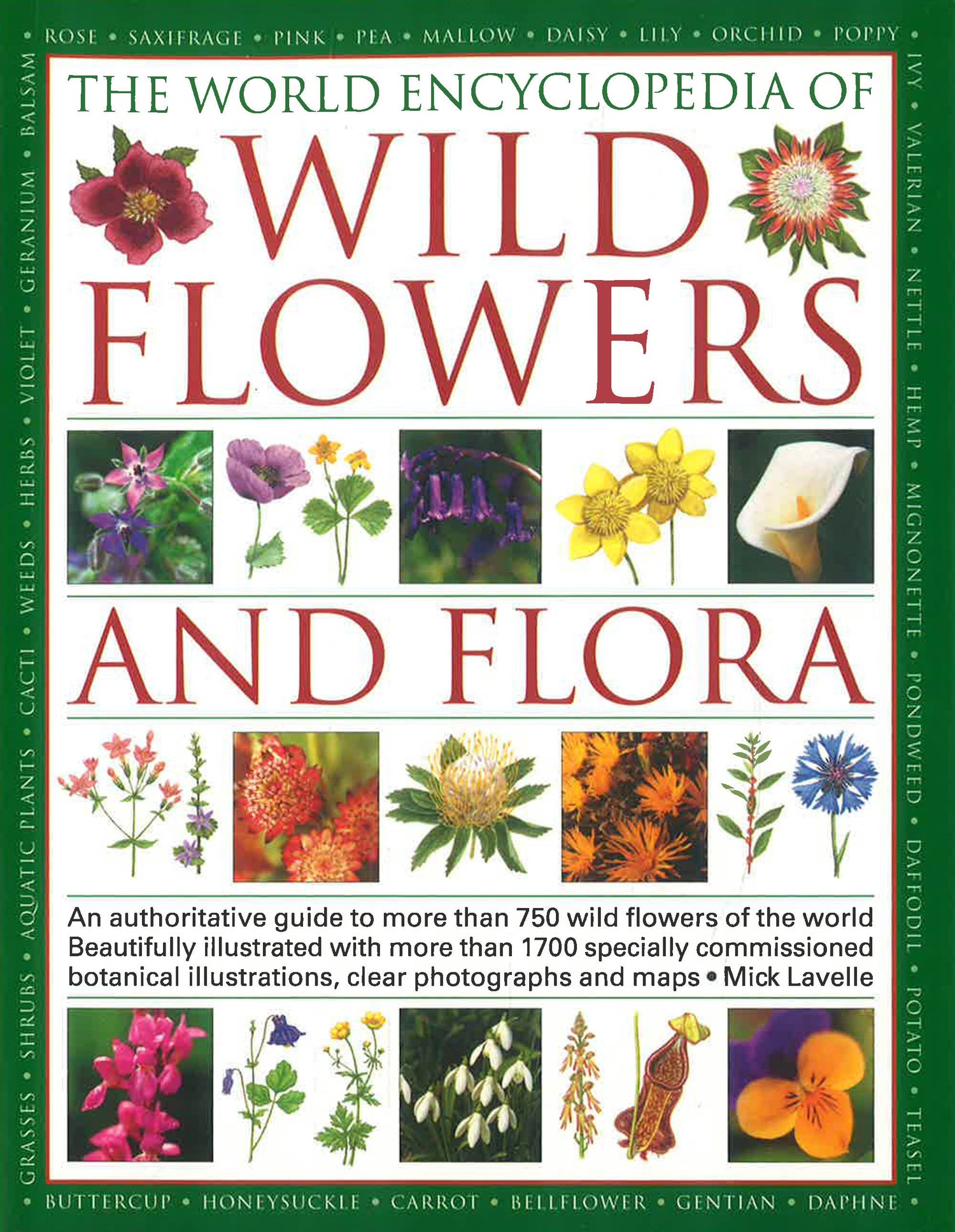 Flower Classification Book Wild Flowers & Flora – BookXcess