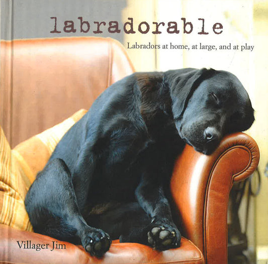Labradorable