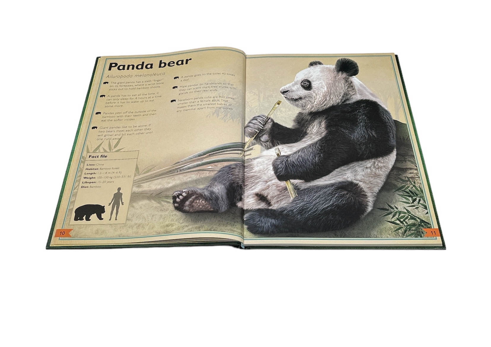 Translation missing: en.sections.featured_product.gallery_thumbnail_alt
