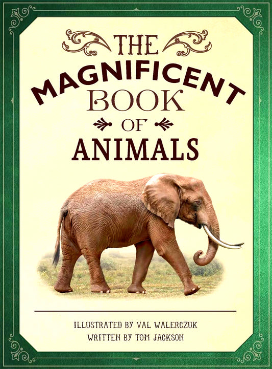 The Magnificent Book Of Animals