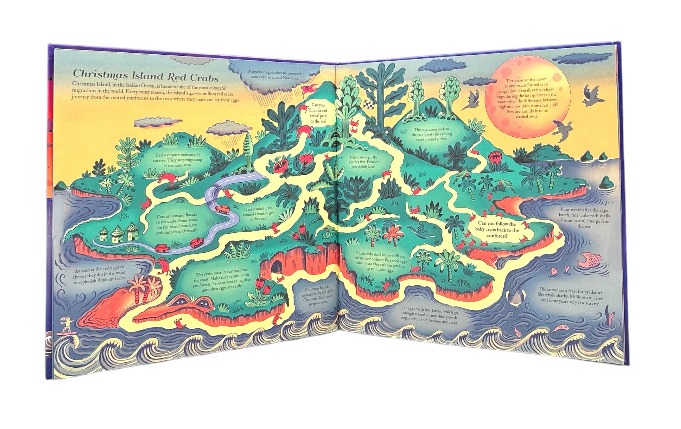 Translation missing: en.sections.featured_product.gallery_thumbnail_alt
