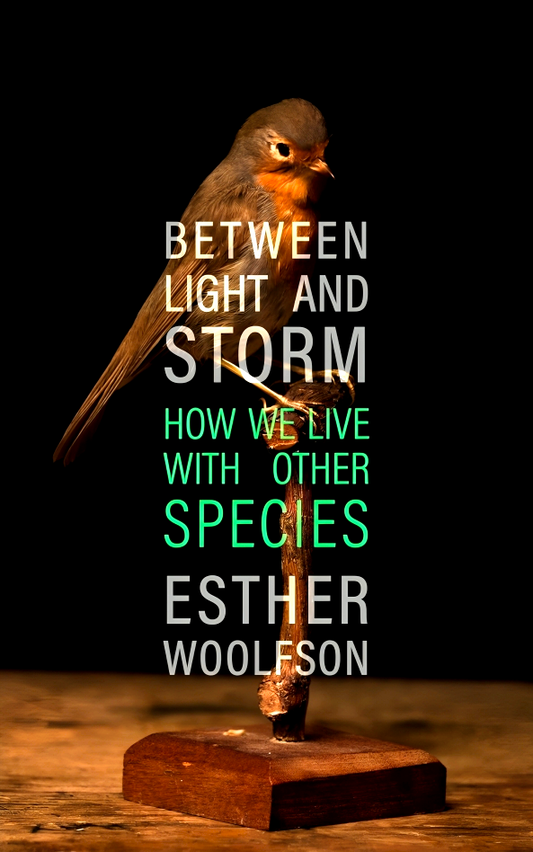 Between Light and Storm: How We Live With Other Species