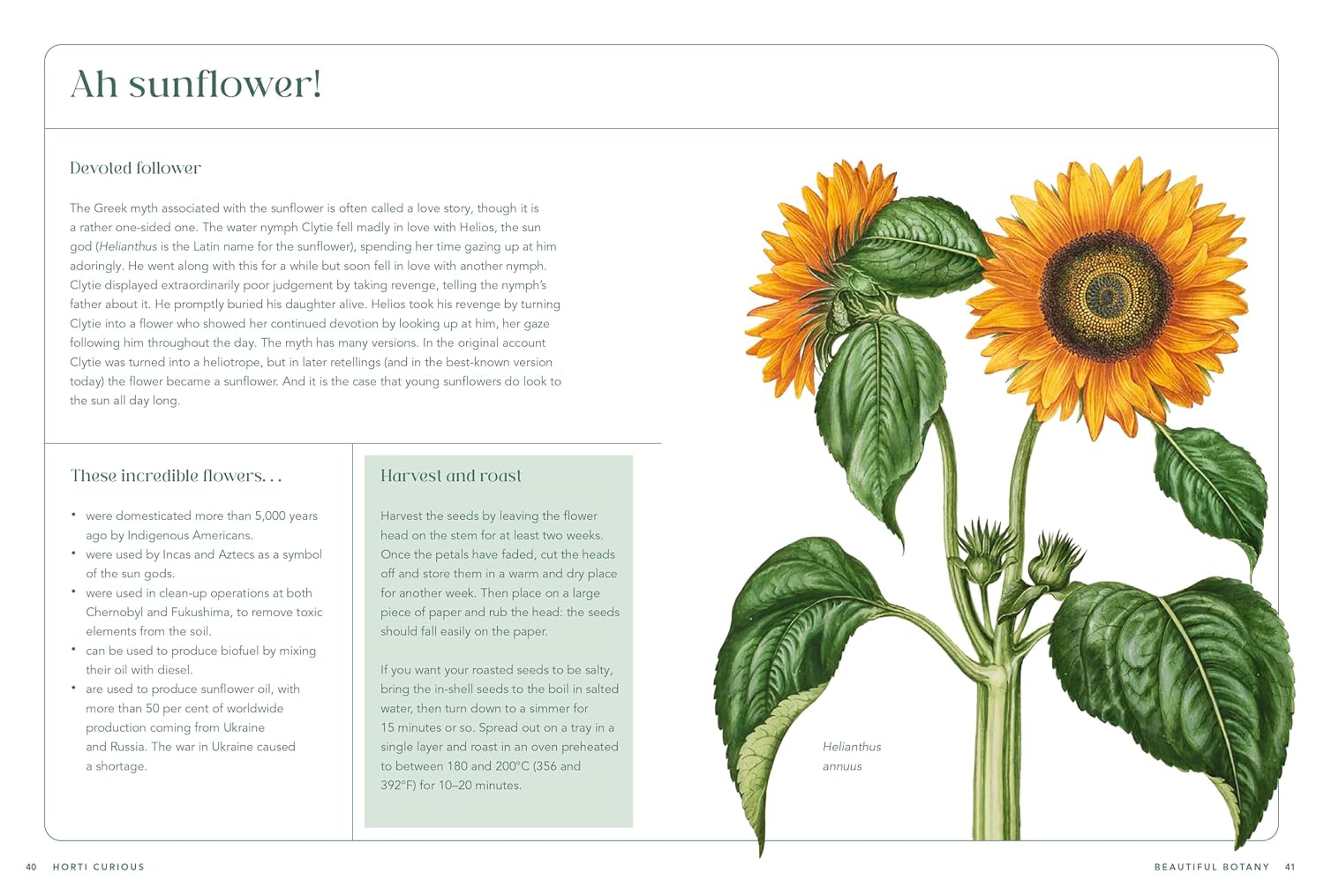 RHS Horti Curious: A Gardener's Miscellany of Fascinating Facts & Remarkable Plants by Ann Treneman – book cover