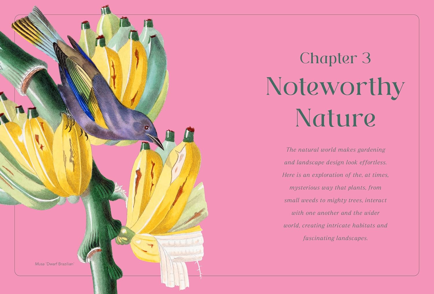 RHS Horti Curious: A Gardener's Miscellany of Fascinating Facts & Remarkable Plants by Ann Treneman – book cover
