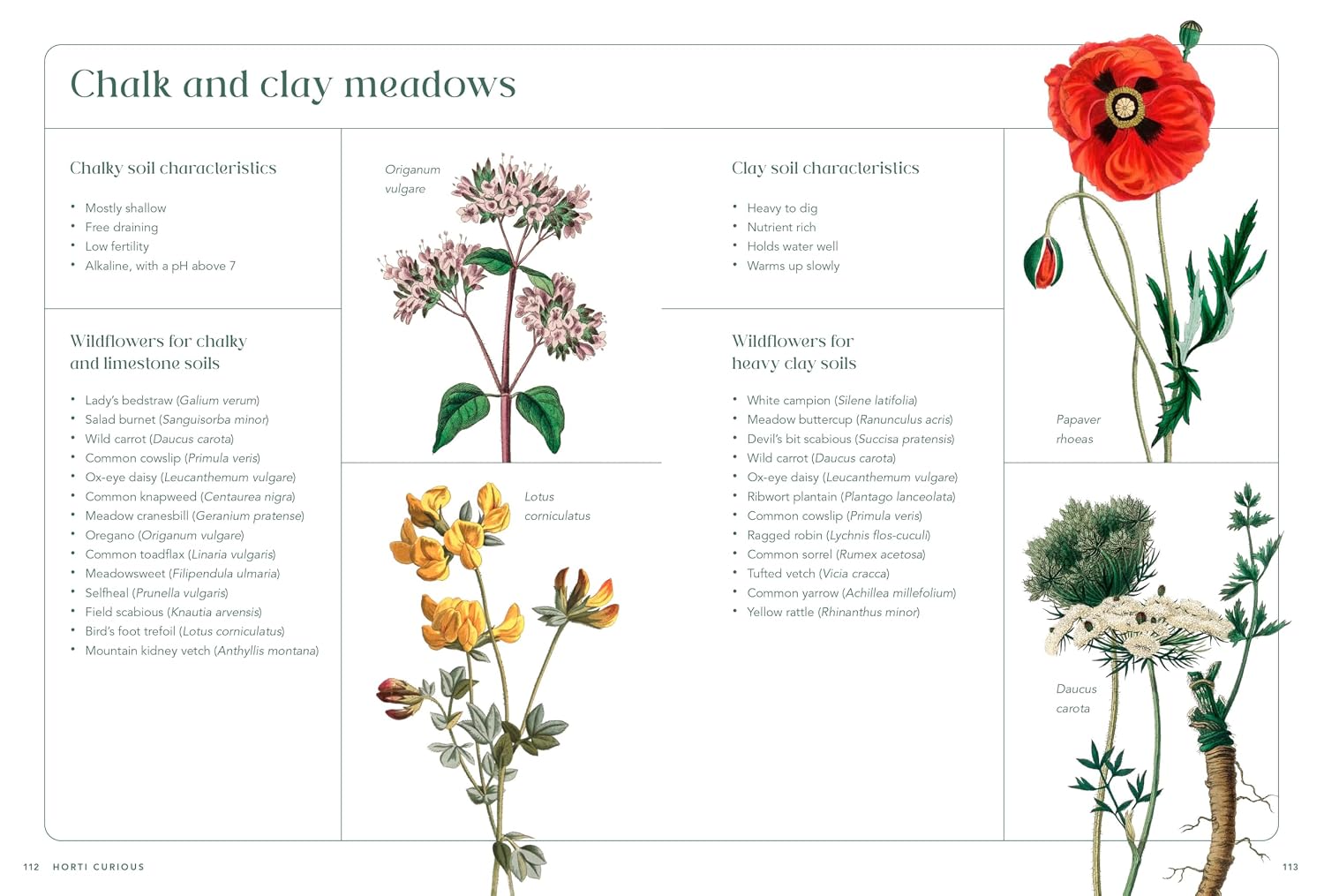 RHS Horti Curious: A Gardener's Miscellany of Fascinating Facts & Remarkable Plants by Ann Treneman – book cover
