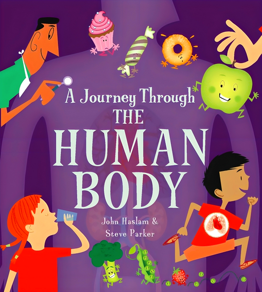 A Journey Through: Human Body