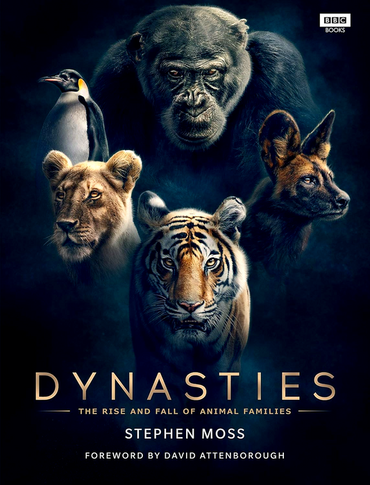 Dynasties