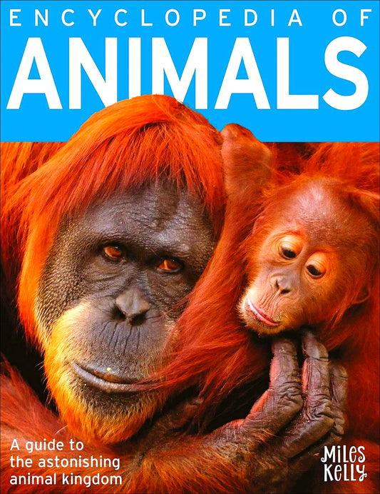 [Additional 30% Off From 27 Feb - 3 March 2024] Encyclopedia Of Animals