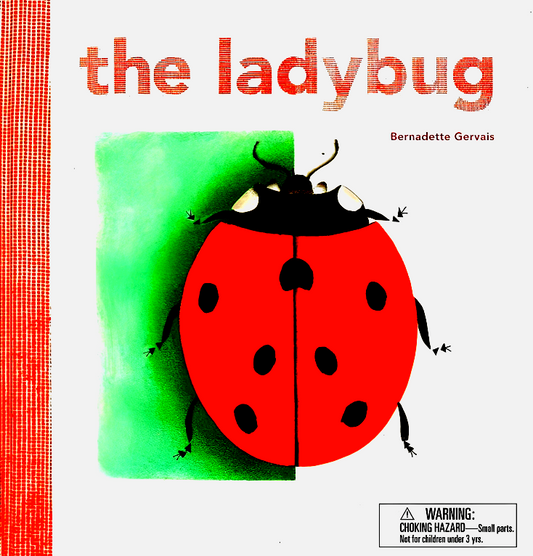 The Ladybug