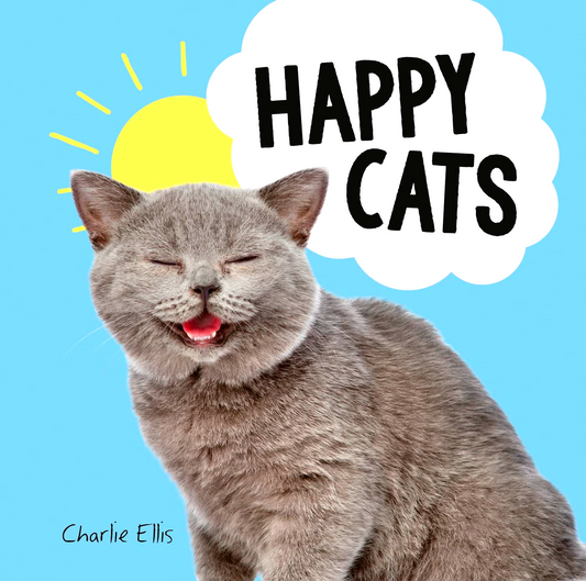 Happy Cats: Photos of Felines Feeling Fab