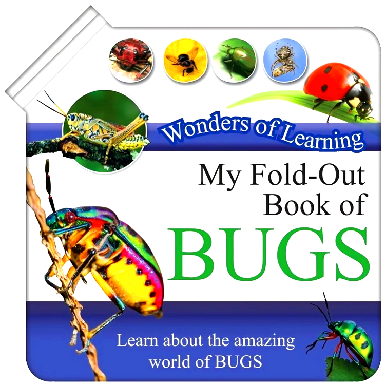 Wonderpatch Learning Books Wonders Of Learning: My Fold-Out Books Of Bugs – BookXcess