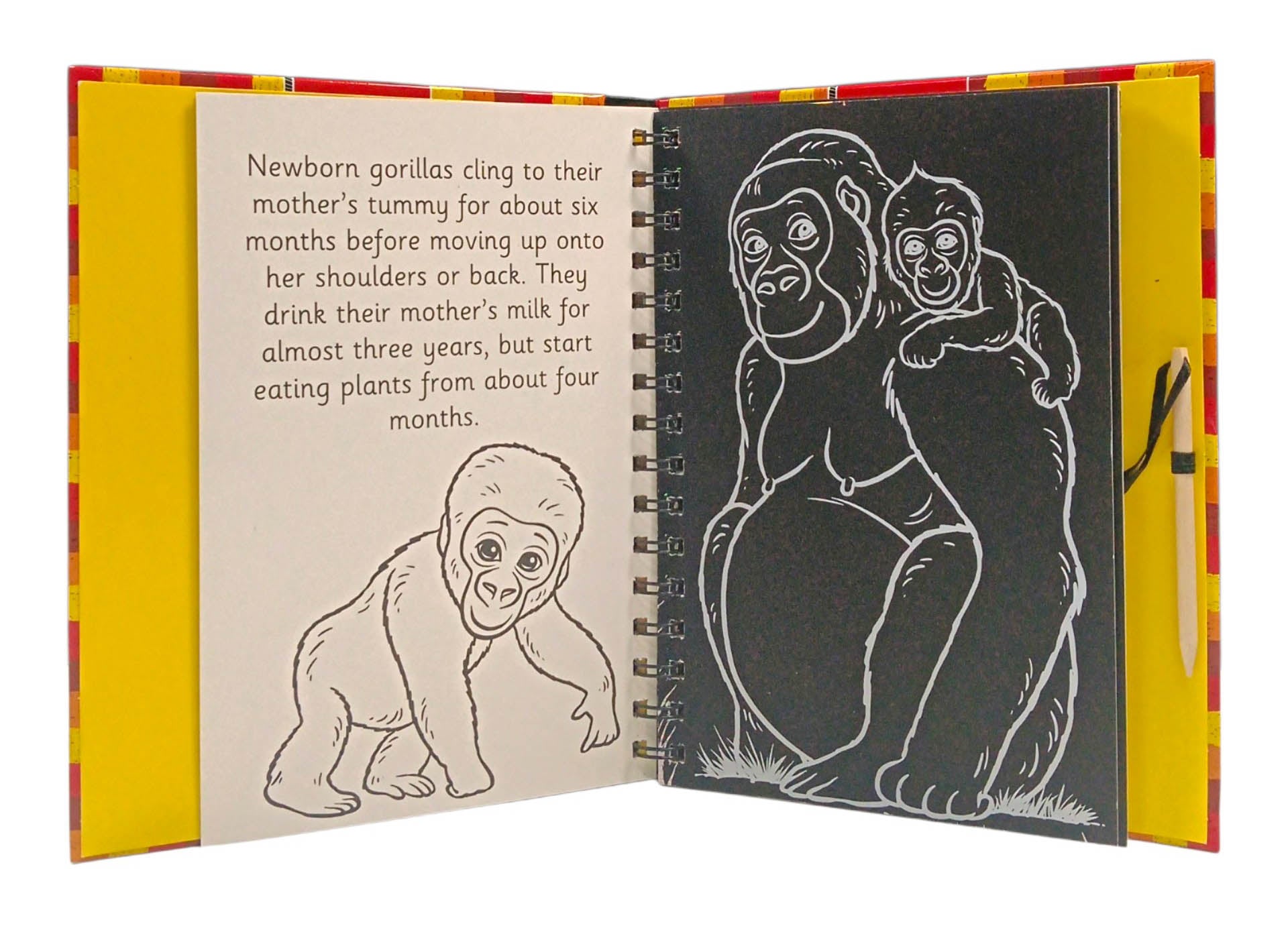 Translation missing: en.sections.featured_product.gallery_thumbnail_alt
