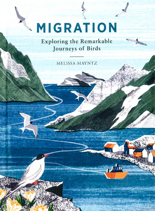 Migration: Exploring The Remarkable Journeys Of Birds