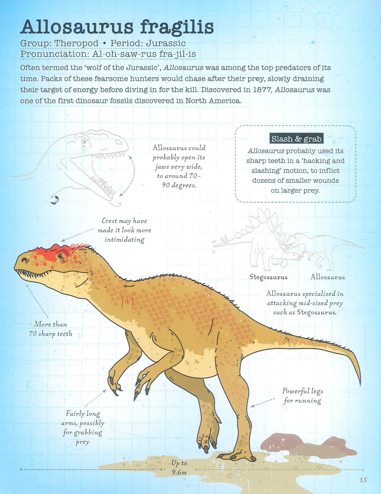 A World Of Dinosaurs BookXcess a-world-of-dinosaurs-bookxcess