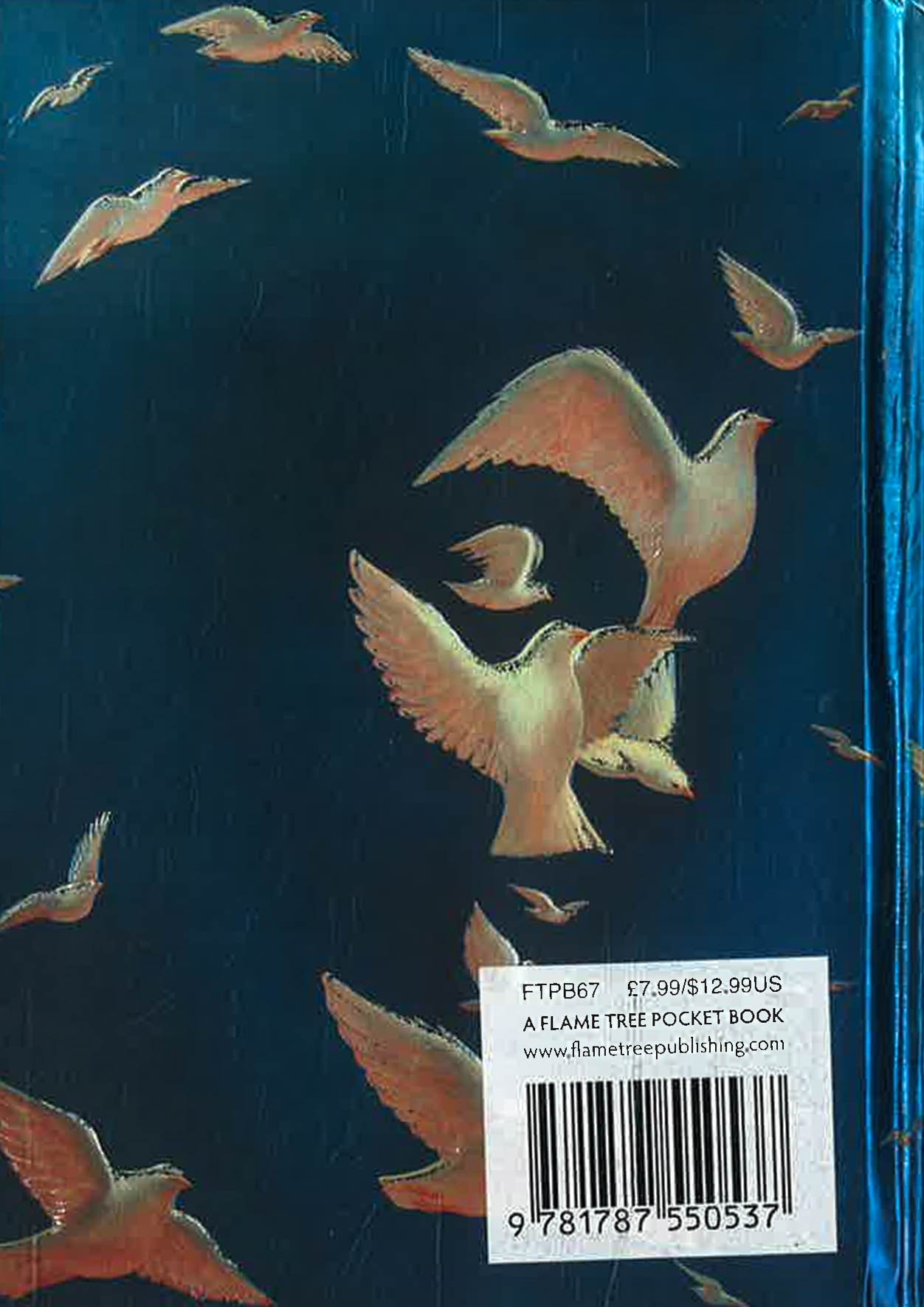 Translation missing: en.sections.featured_product.gallery_thumbnail_alt
