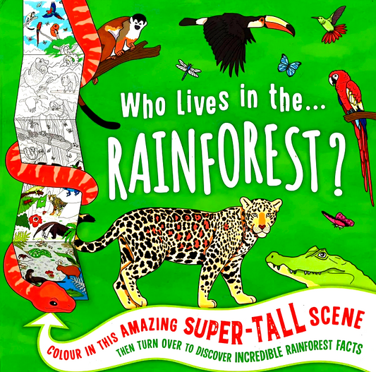 Who Lives In The...Rainforest? (Giant Colouring Frieze)