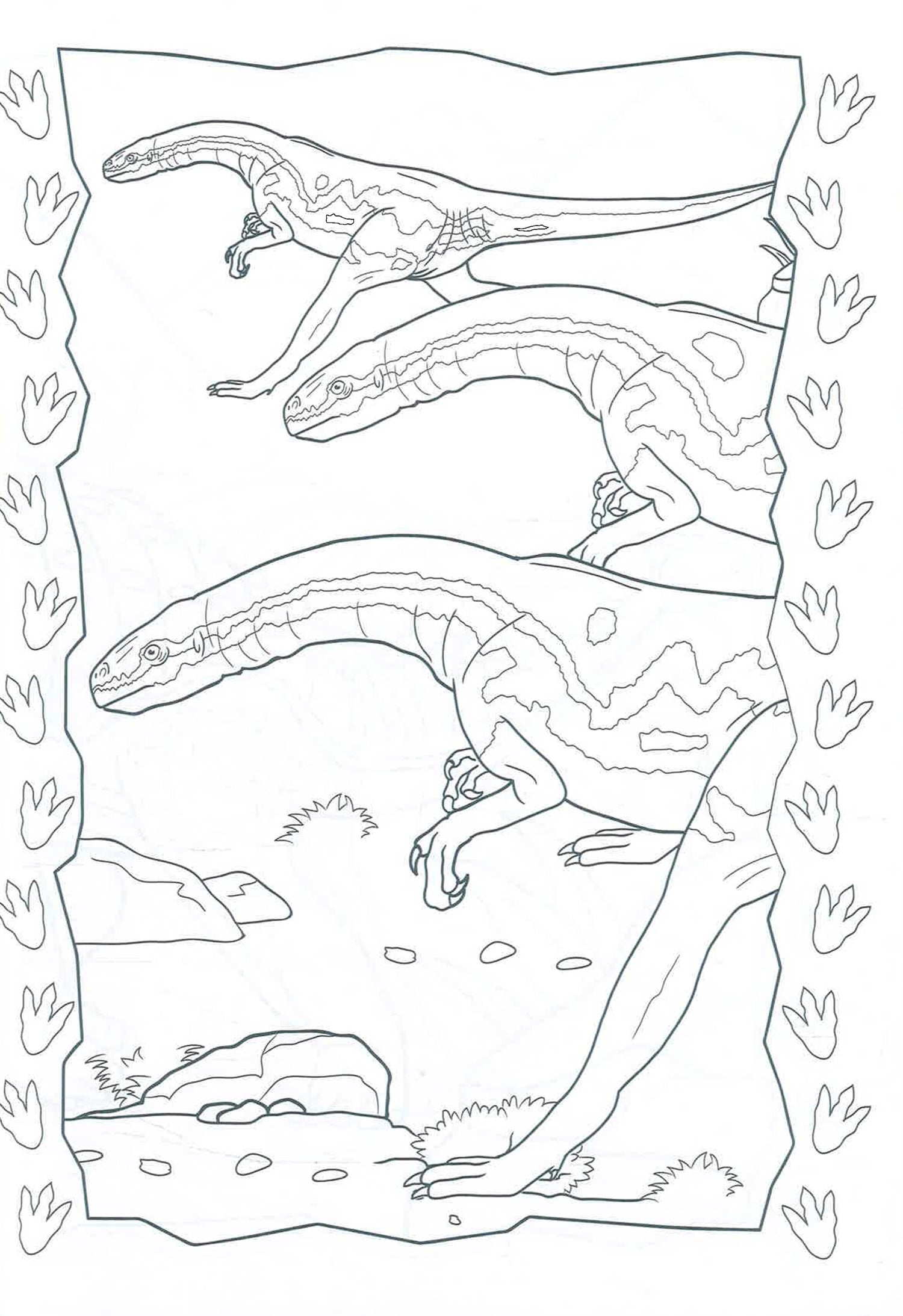 Dinosaur Jumbo Colouring Book by Alligator Books – book cover