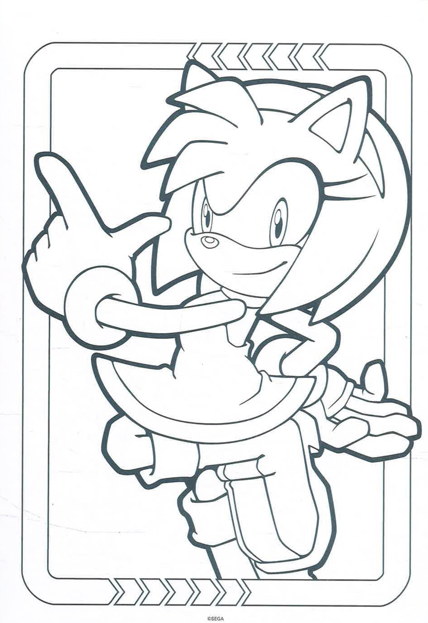 Sonic The Hedgehog Mega Pad by Alligator Books – book cover
