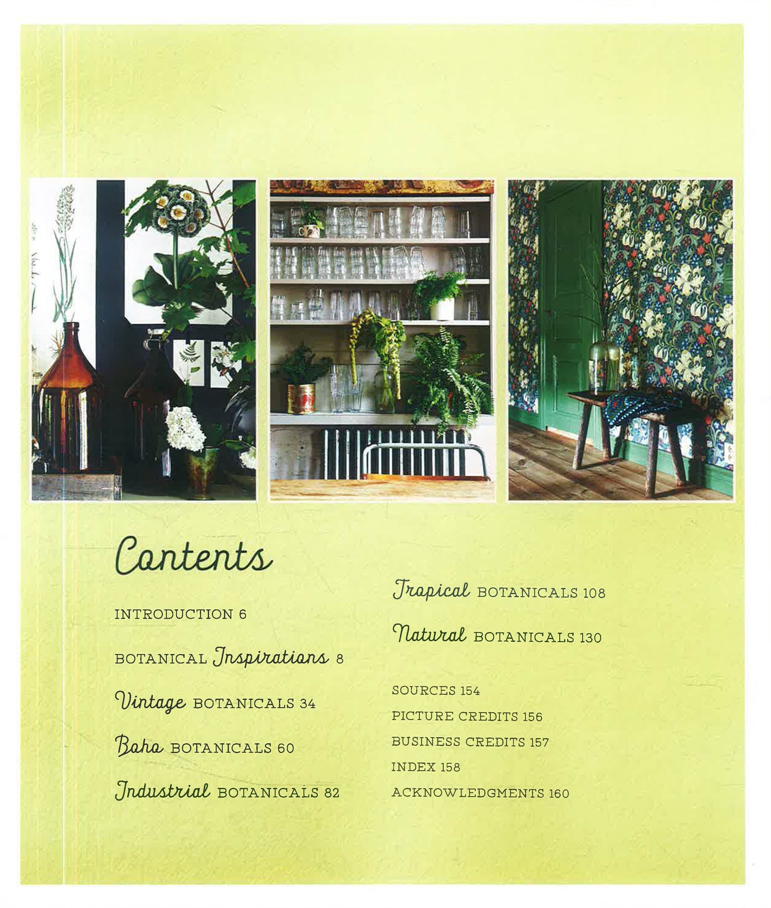 Botanical Style by Selina Lake – book cover