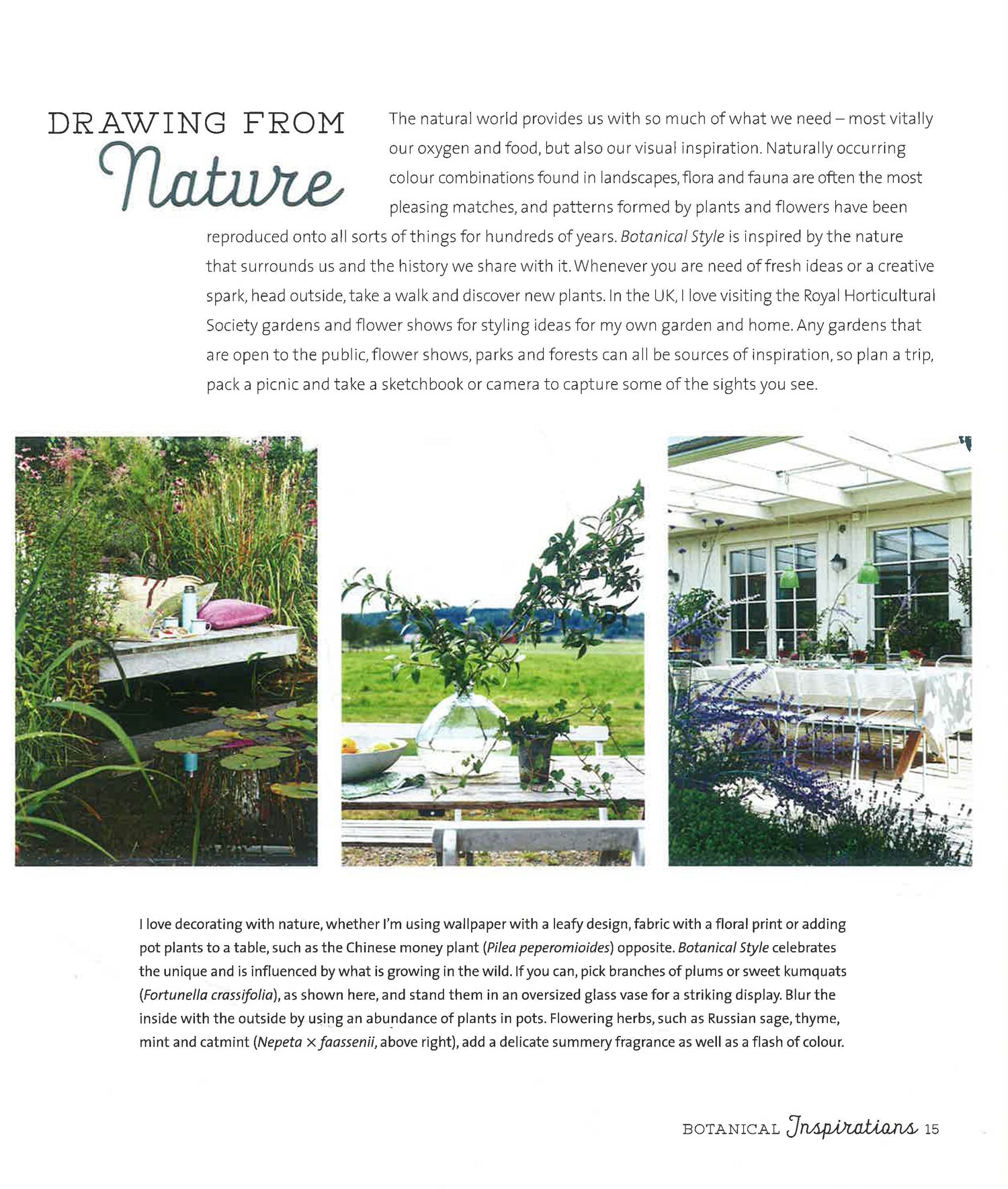 Botanical Style by Selina Lake – book cover