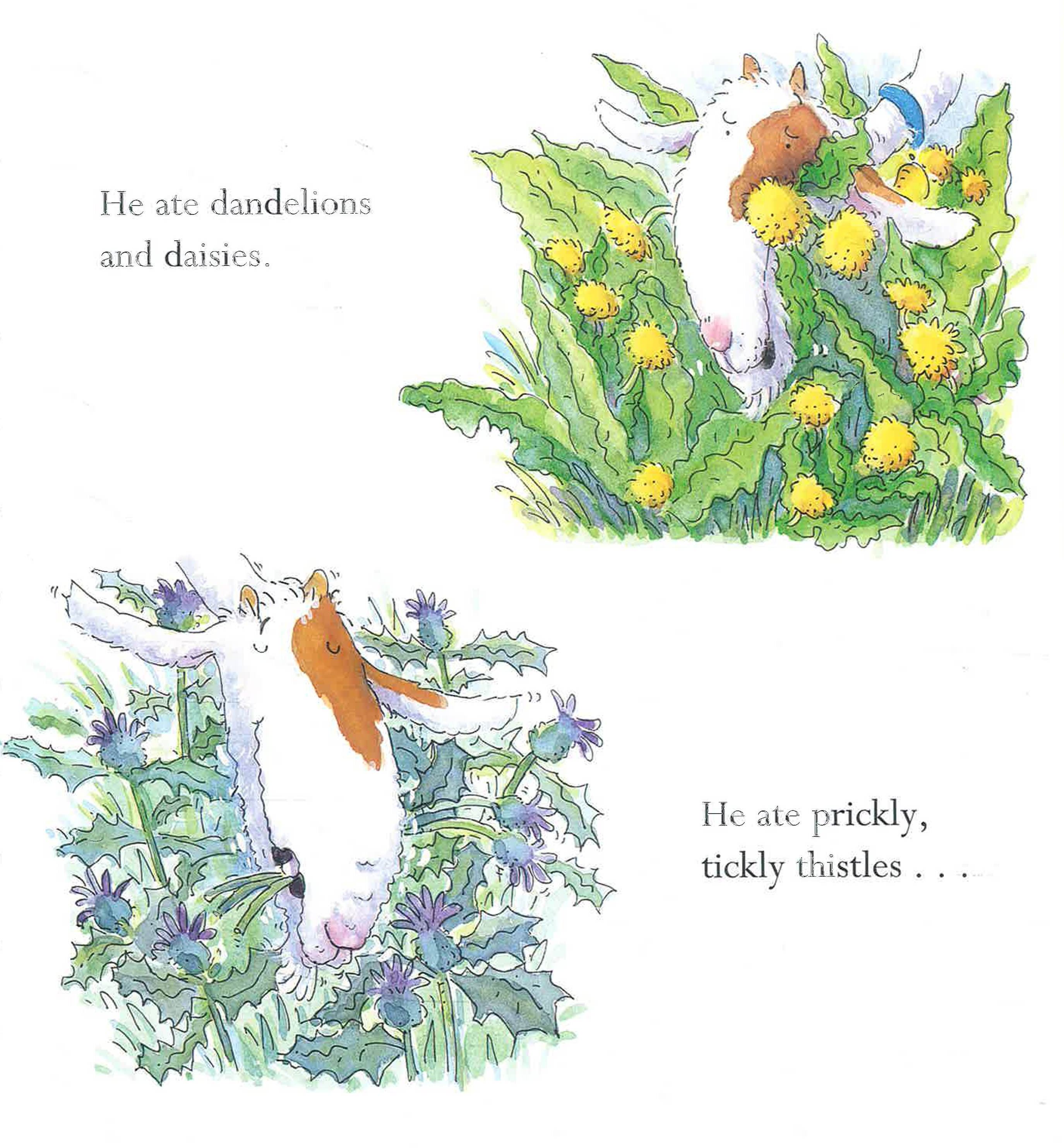 Translation missing: en.sections.featured_product.gallery_thumbnail_alt
