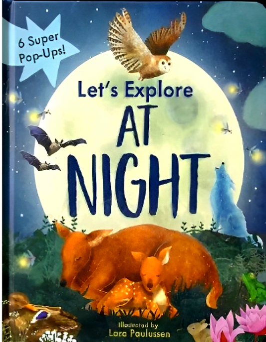 Let's Explore: At Night (Pop-Up)