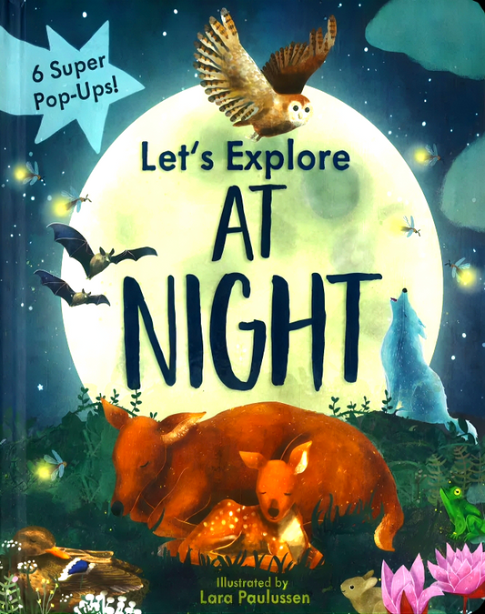 Let's Explore: At Night (Pop-Up)