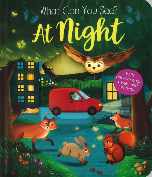 What Can You See? At Night