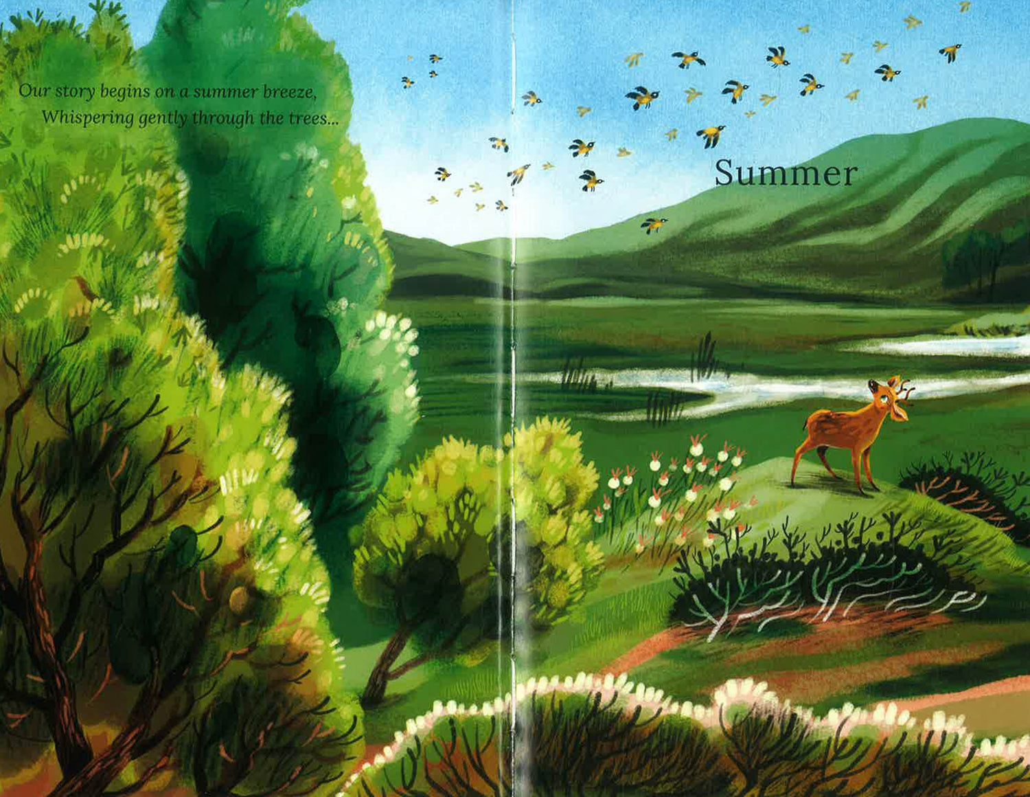 Little Bird Lost by Patricia Hegarty – book cover