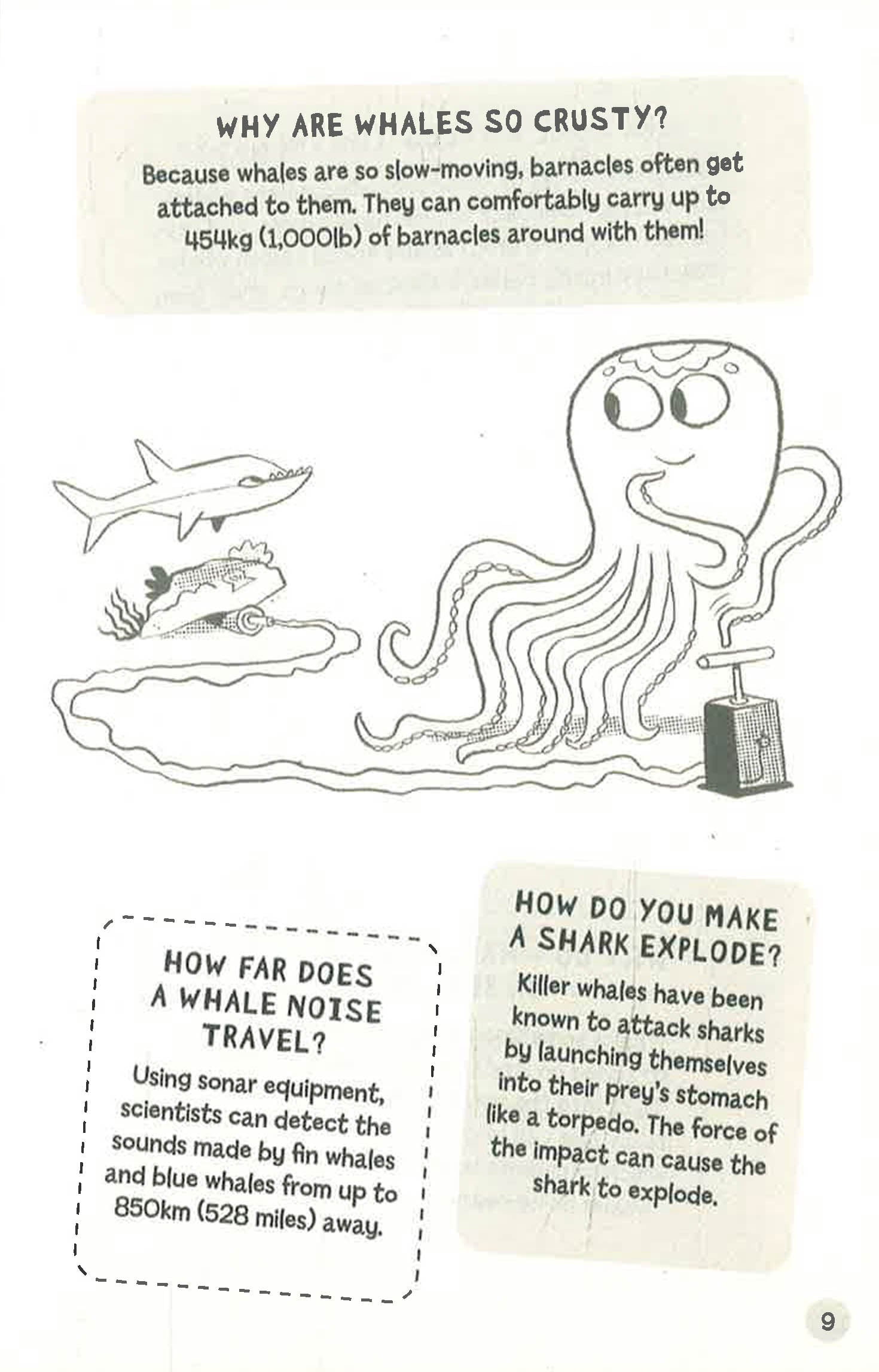 Why Don't Sharks Have Bones?: Questions and Answers About Sea Creature