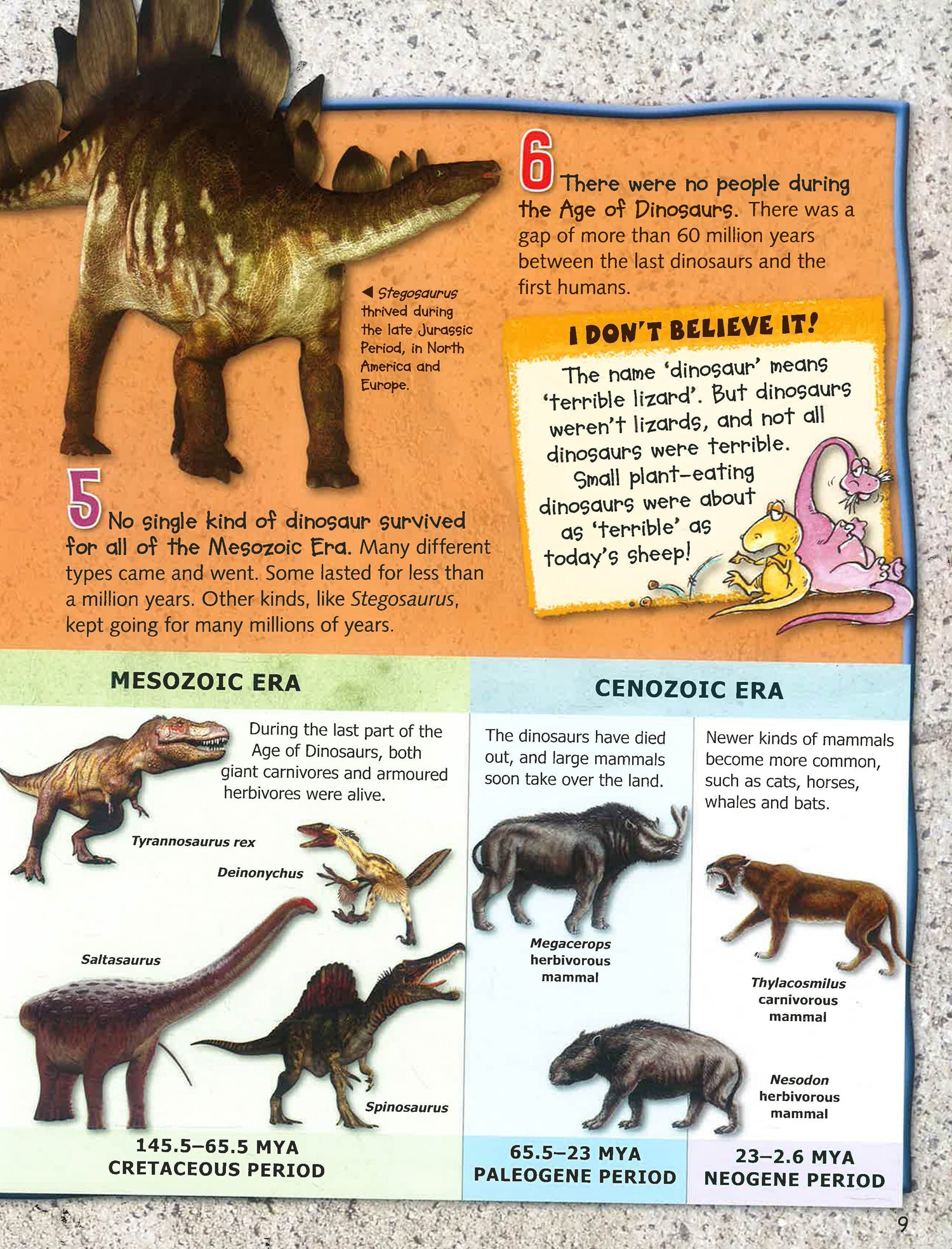 Dinosaur Fact File Examples 100 Facts Dinosaurs – BookXcess