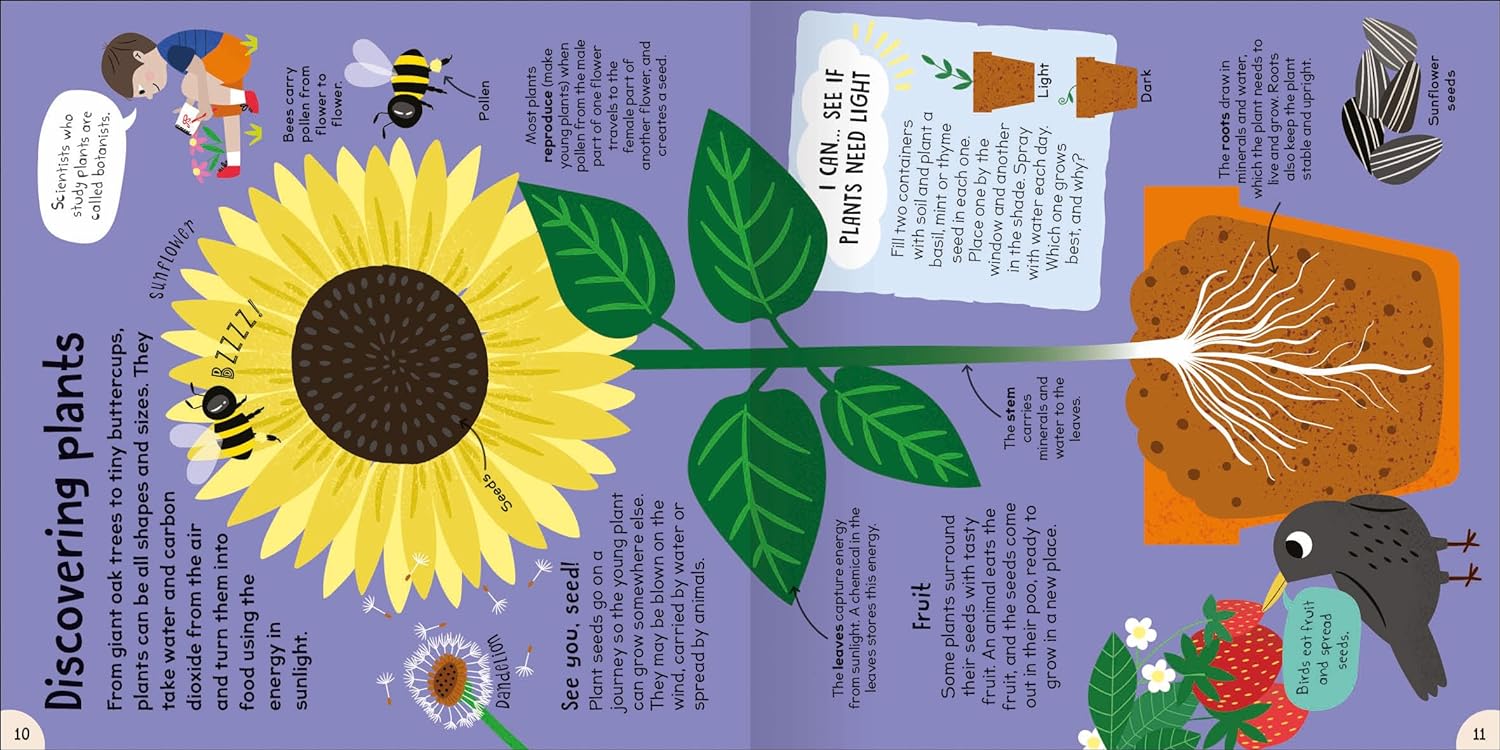 First Scientific First Science Book – BookXcess