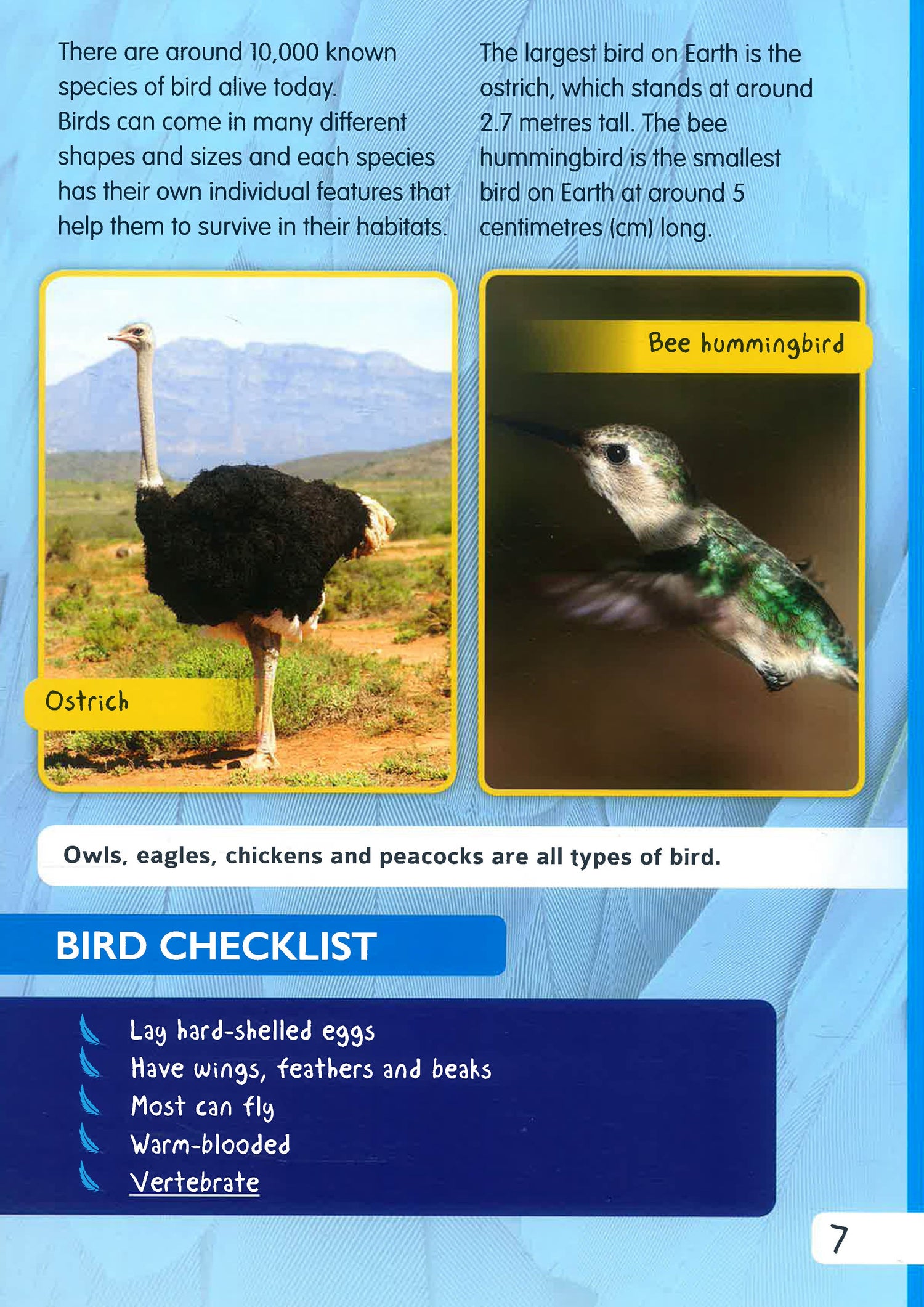 Animal Classification: Birds – BookXcess