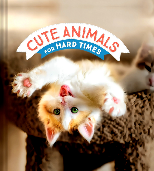 Cute Animals For Hard Times