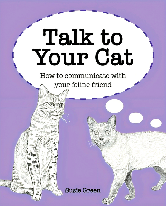 Talk to Your Cat: How to Communicate with Your Feline Friend