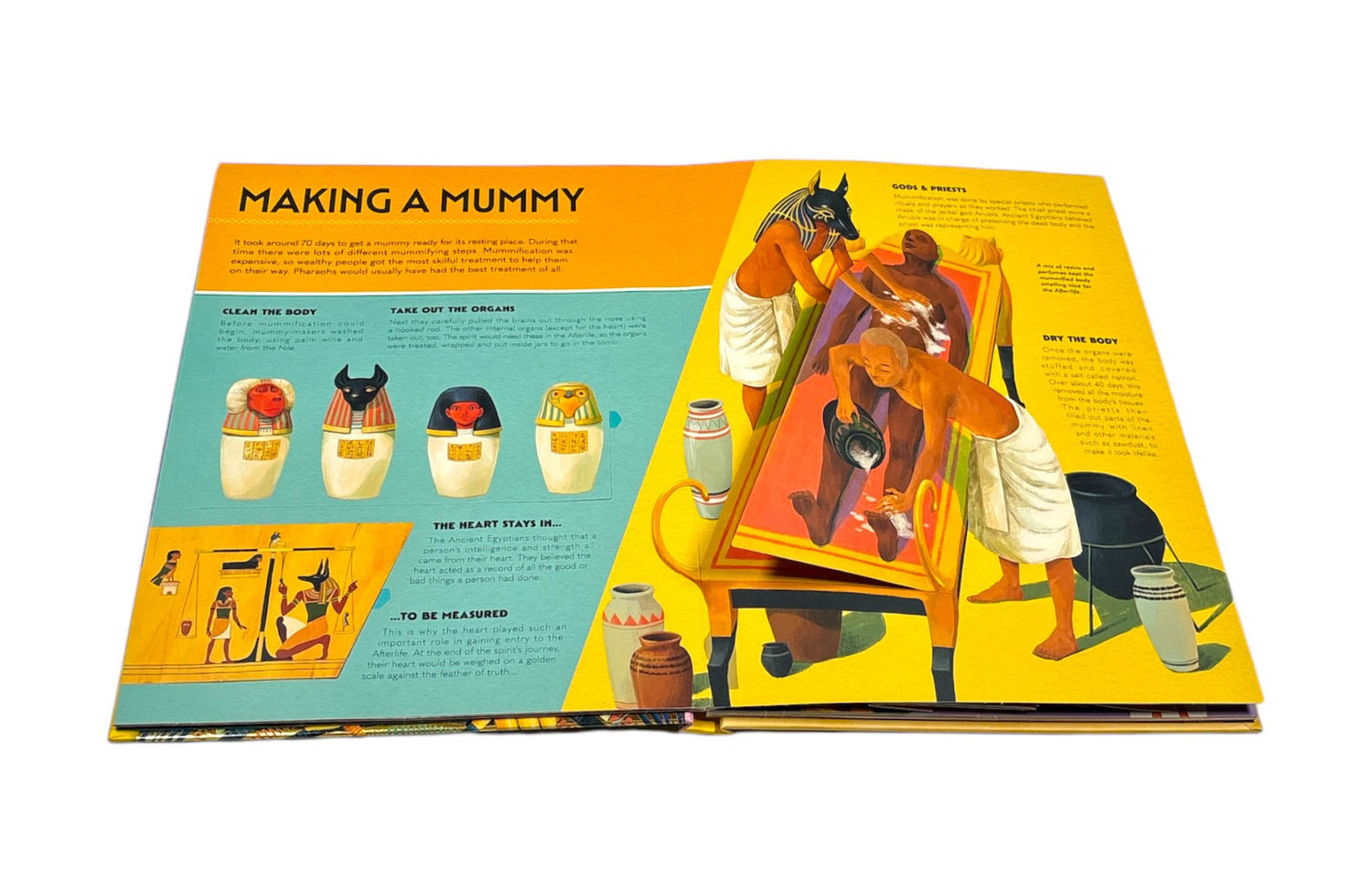The Incredible Pop-Up Mummy – BookXcess