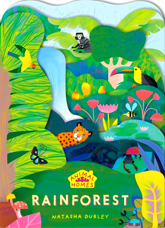 Animal Homes: Rainforest